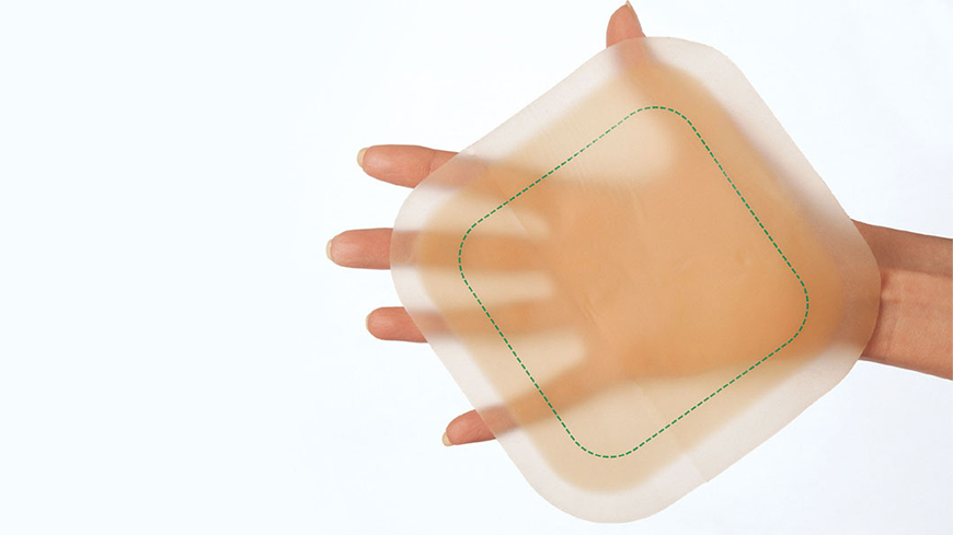 ręka trzymająca liść