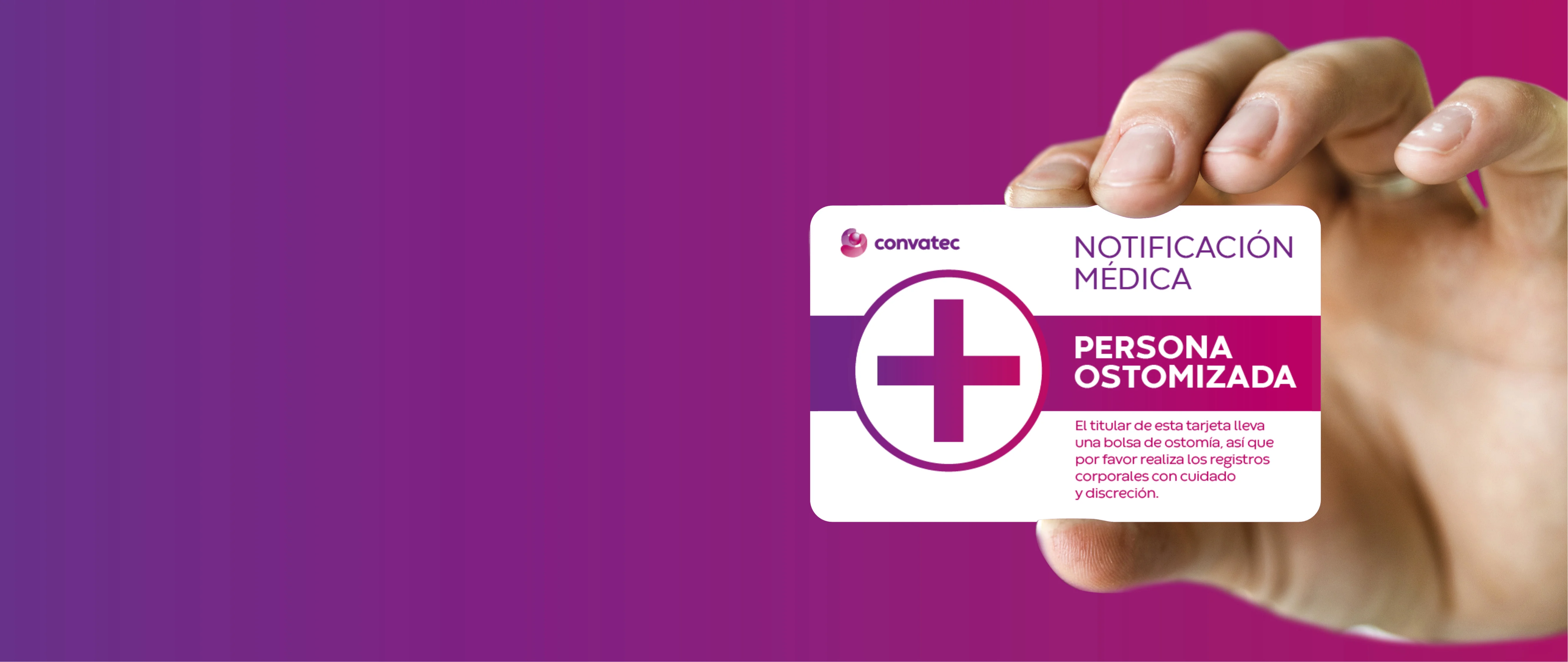 interfaz gráfica de usuario, aplicación